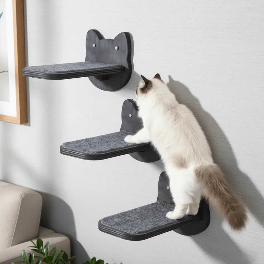 Soft Felt Cat Platform – Elevated Resting Spot for Calm, Confident Cats