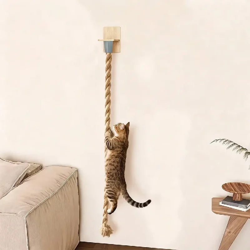 Natural Climbing Rope for Cats — Safe Vertical Play & Higher Ground