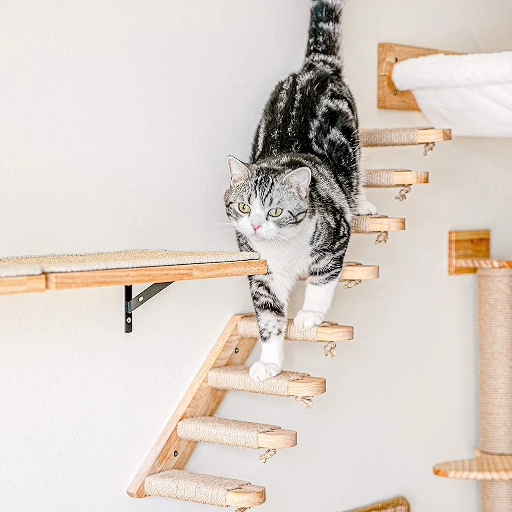 Elevated Cat Climbing Perch — Safe Higher Ground for Confident Cats