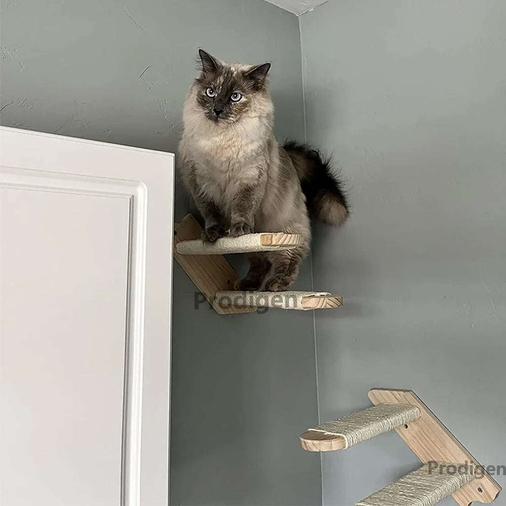 Elevated Cat Climbing Perch — Safe Higher Ground for Confident Cats