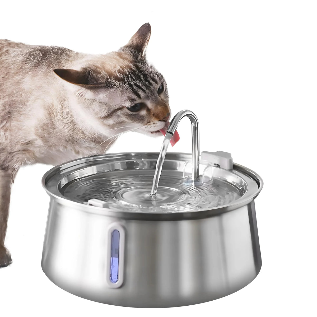 Quiet Flow Cat Water Fountain — Fresh Running Water for Daily Hydration