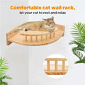 Stable Elevated Cat Platform — Safe Higher Ground & Joint‑Friendly Rest