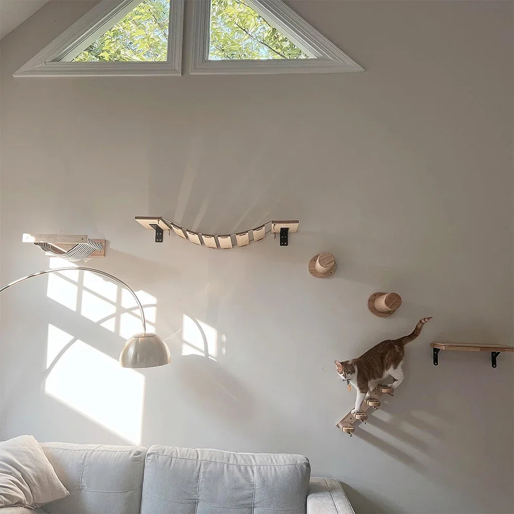 Elevated Cat Climbing Perch — Safe Higher Ground for Confident Cats