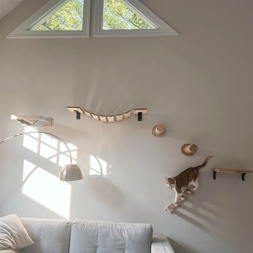 Elevated Cat Climbing Perch — Safe Higher Ground for Confident Cats