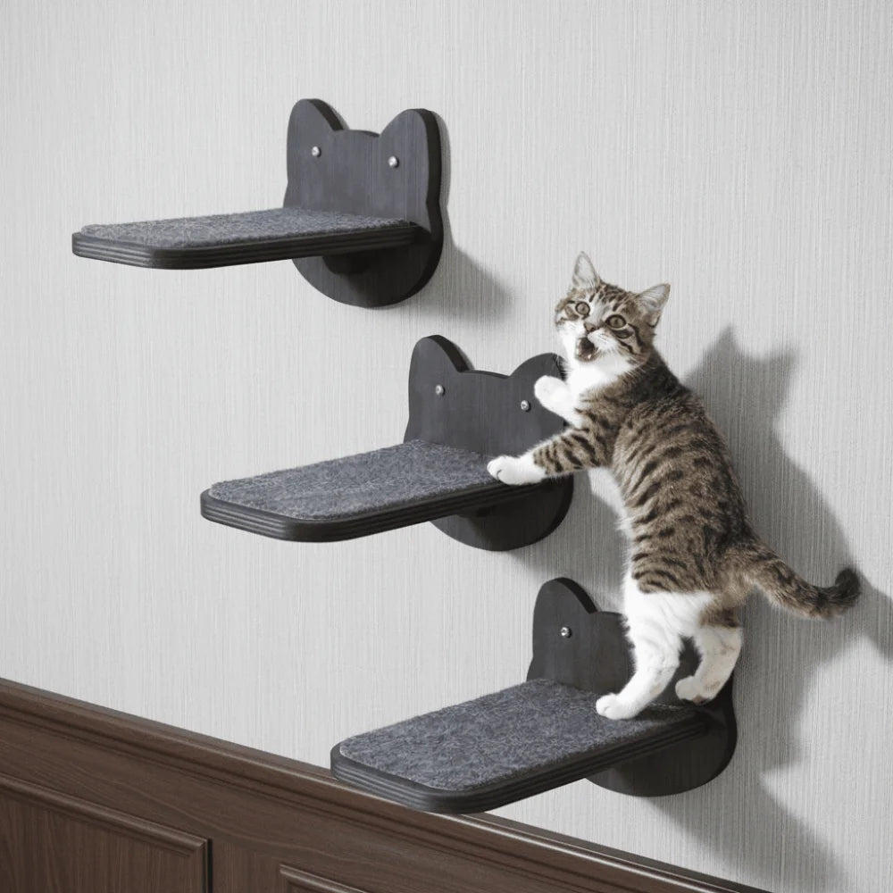 Soft Felt Cat Platform – Elevated Resting Spot for Calm, Confident Cats