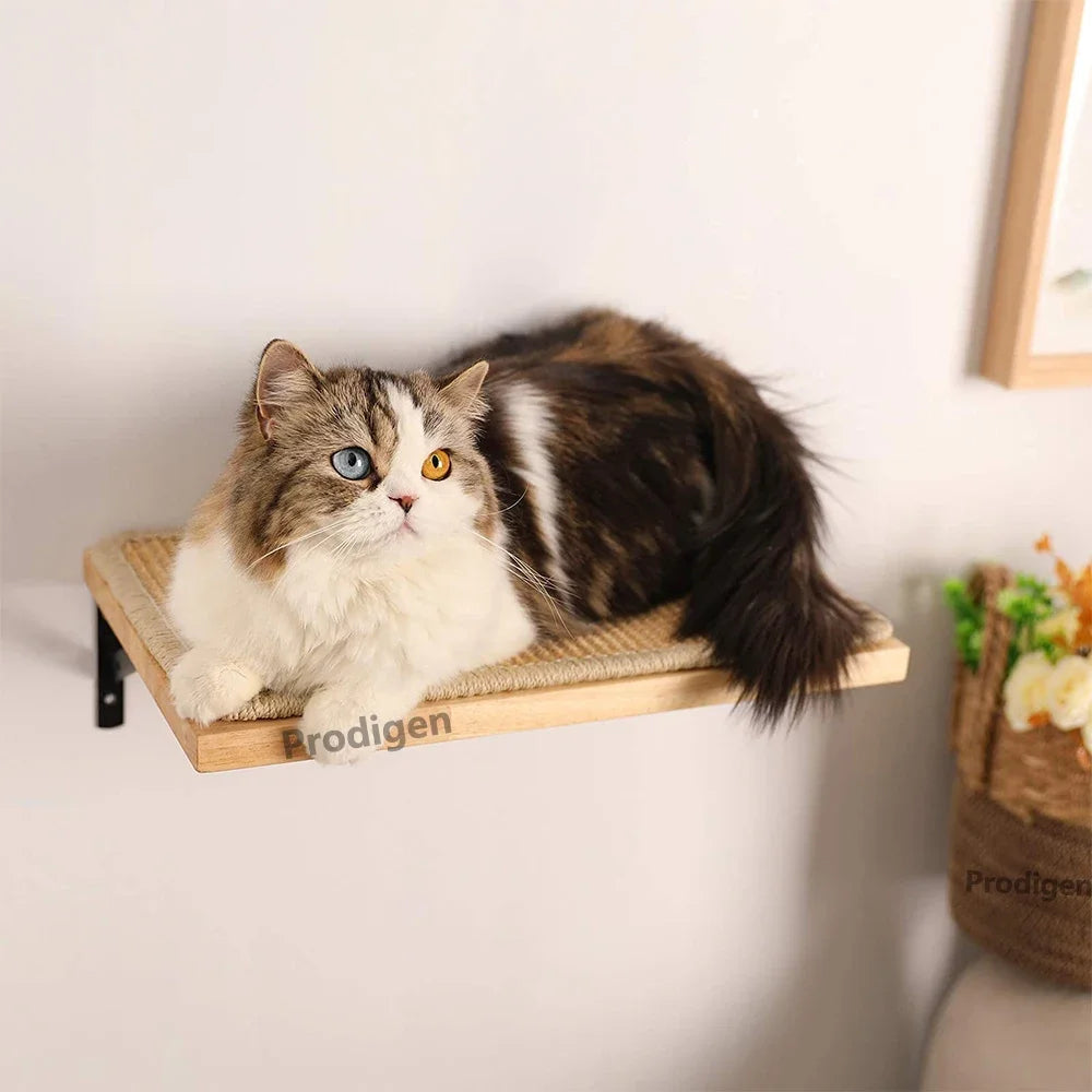 Elevated Cat Climbing Perch — Safe Higher Ground for Confident Cats