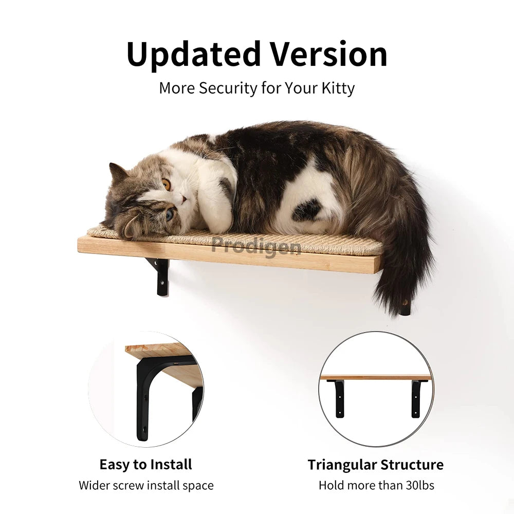 Elevated Cat Climbing Perch — Safe Higher Ground for Confident Cats