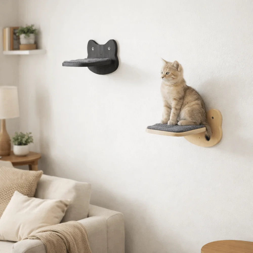Soft Felt Cat Platform – Elevated Resting Spot for Calm, Confident Cats