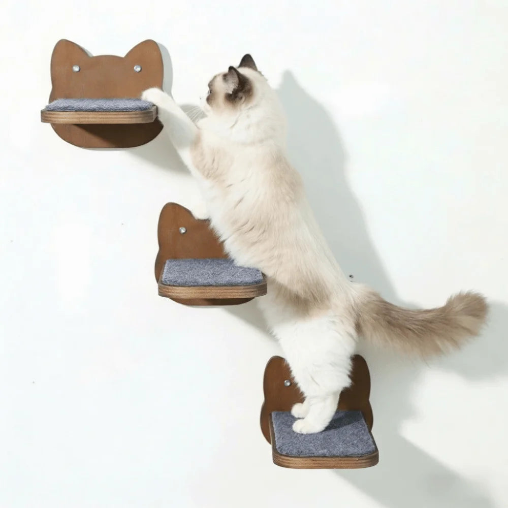 Soft Felt Cat Platform – Elevated Resting Spot for Calm, Confident Cats