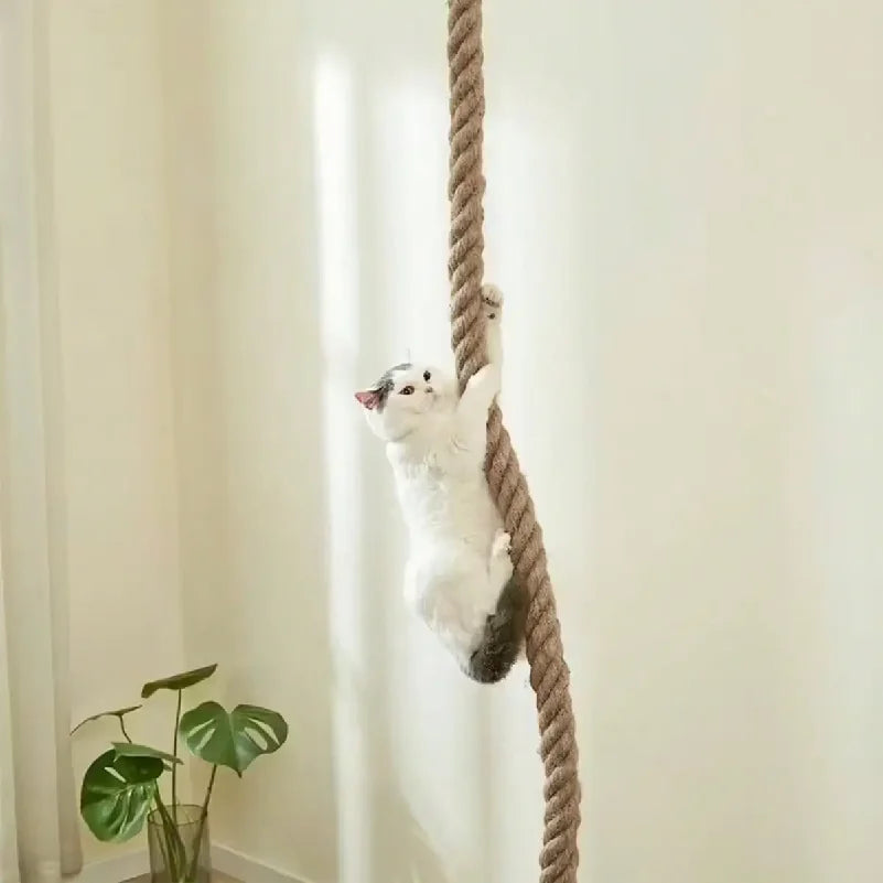 Natural Climbing Rope for Cats — Safe Vertical Play & Higher Ground